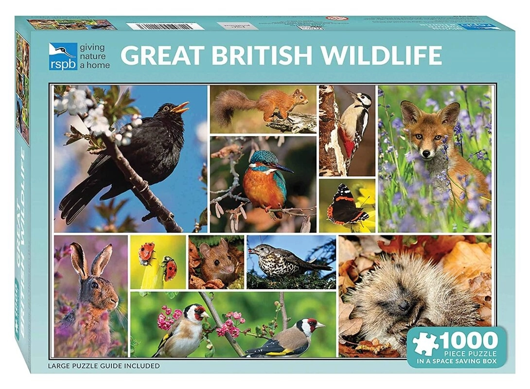Great British Wildlife