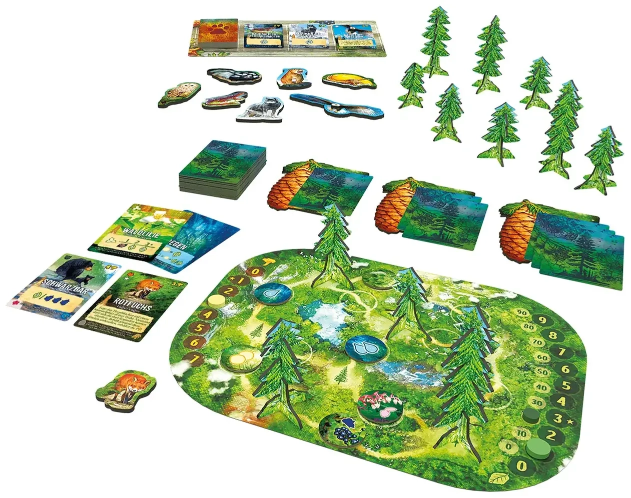 Waldland: Immergrün & Artenreich!