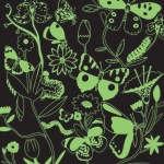 Butterflies Illuminated - Glow in the Dark
