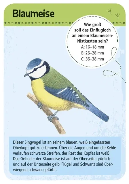 Expedition Natur - 50 heimische Vögel