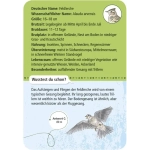 Expedition Natur - 50 heimische Vögel