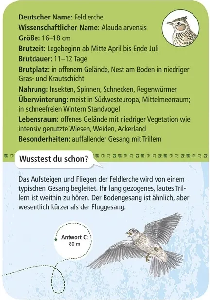 Expedition Natur - 50 heimische Vögel