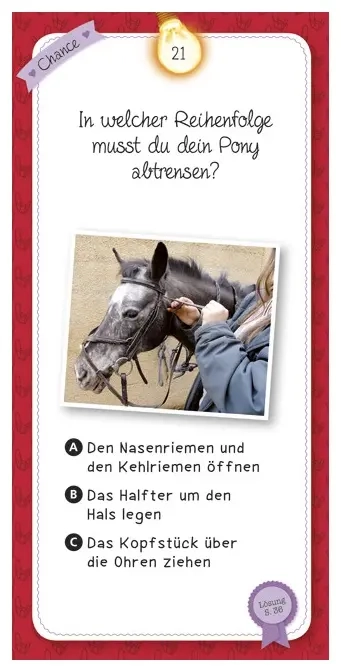 Das Quiz der Pferde und Ponys