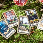 Fungi