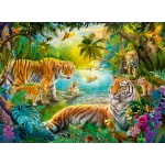 Tiger Family in the Oasis