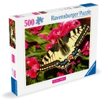 Schöner Schmetterling