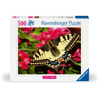 Schöner Schmetterling