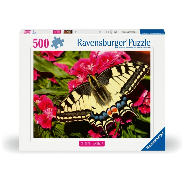 Schöner Schmetterling
