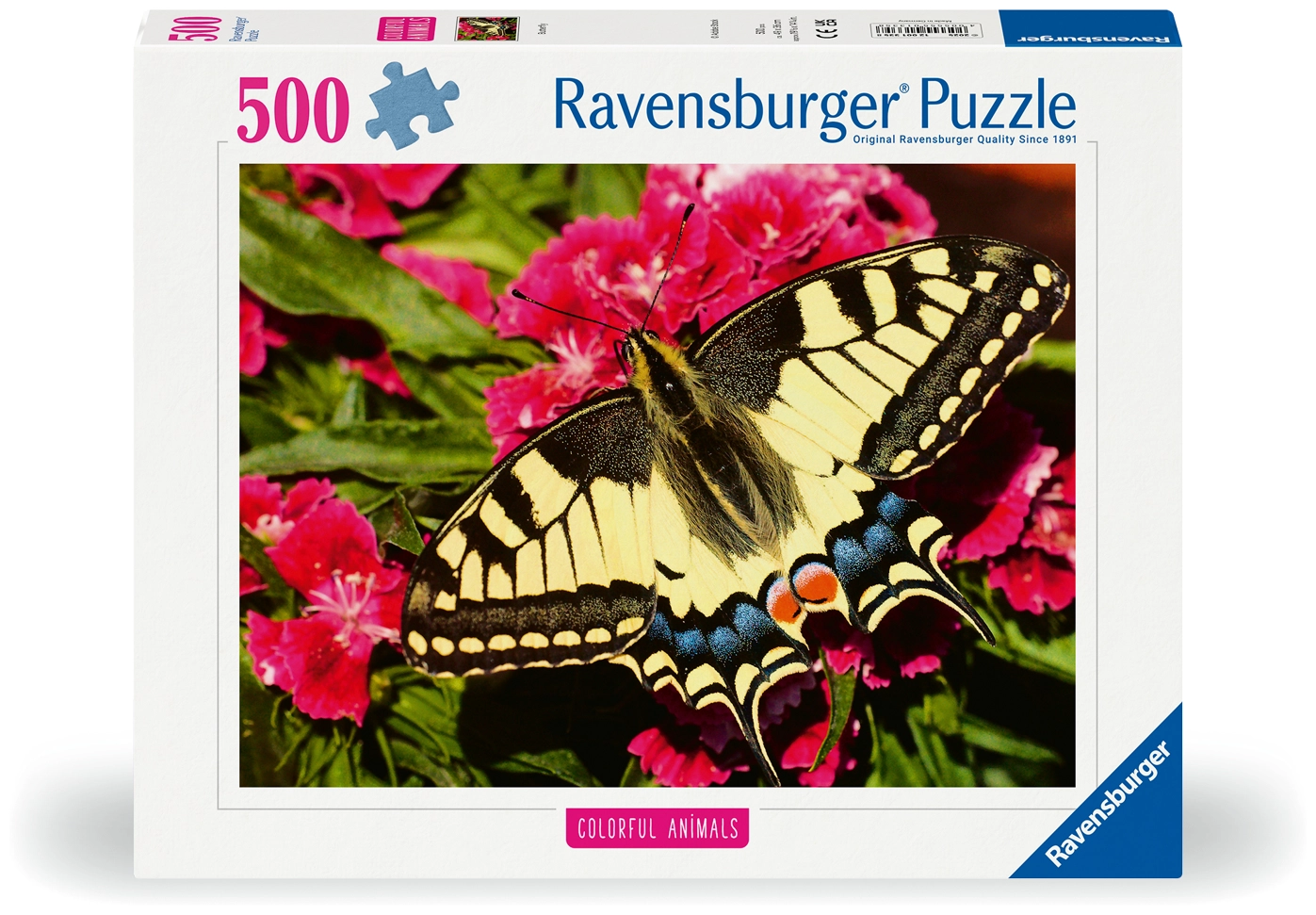 Schöner Schmetterling