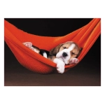 Sleeping in a Hammock