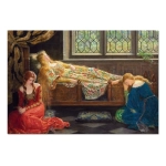 The Sleeping Beauty - John Collier