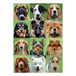 Dogs Collage