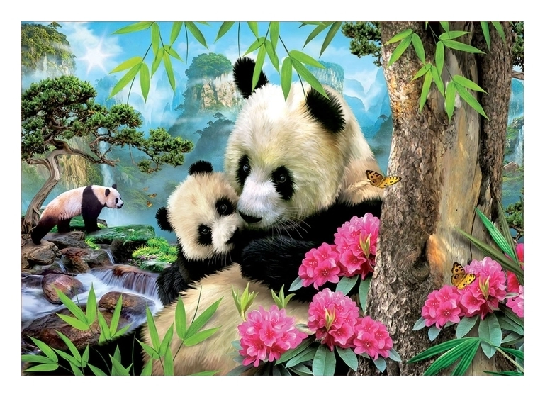 Pandas Morning