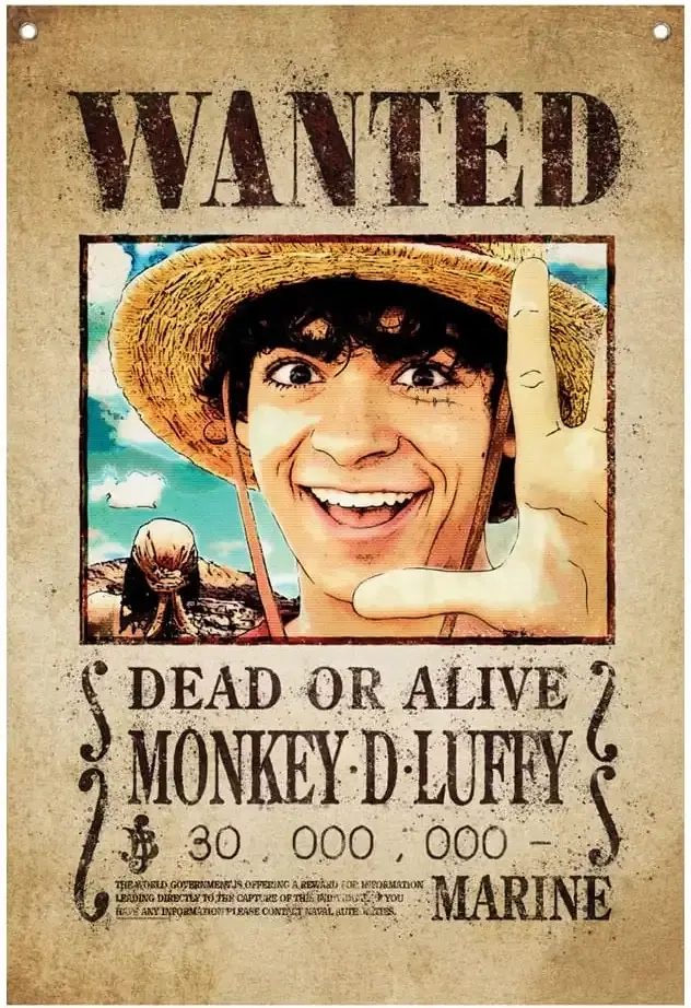 One Piece Wall Banner