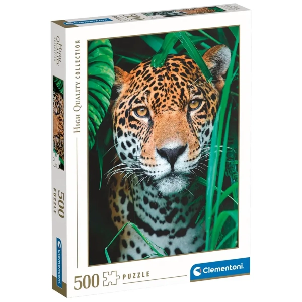 Jaguar in the Jungle