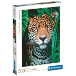 Jaguar in the Jungle