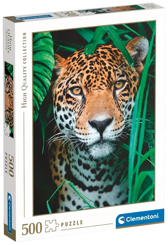 Jaguar in the Jungle