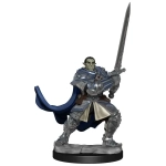 D&D Nolzur's Marvelous Miniatures: Half-Orc Paladin Male (2 Units) - EN