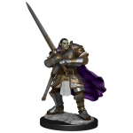 D&D Nolzur's Marvelous Miniatures: Half-Orc Paladin Male (2 Units) - EN D&D Nolzur's Marvelous Miniatures: Half-Orc Paladin Male (2 Units) - EN