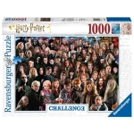 Harry Potter Challenge