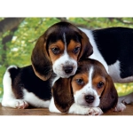 Close together