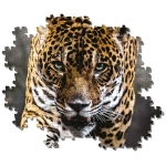 Walk of the Jaguar