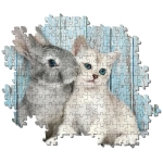 Katze & Hase