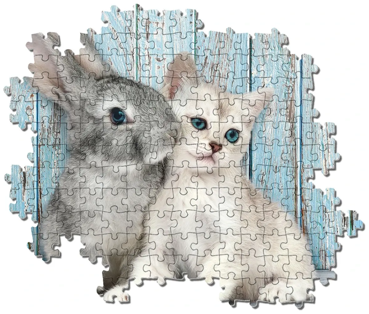 Katze & Hase
