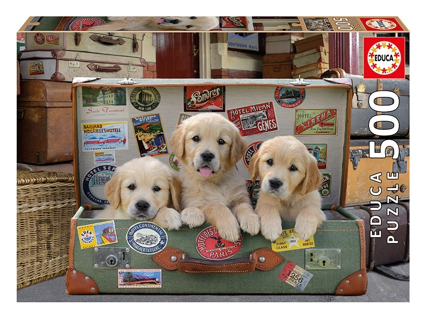 Puppies in the luggage