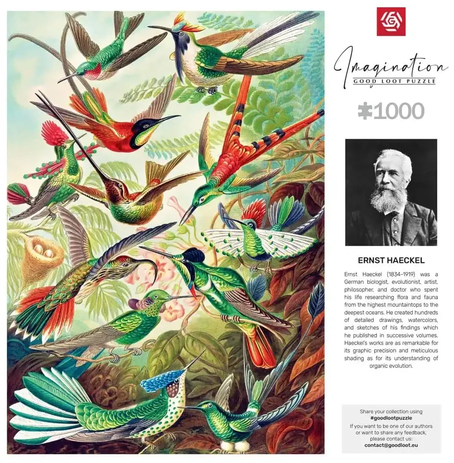 Hummingbirds - Ernst Haeckel