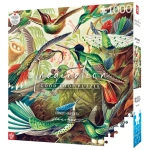 Hummingbirds - Ernst Haeckel