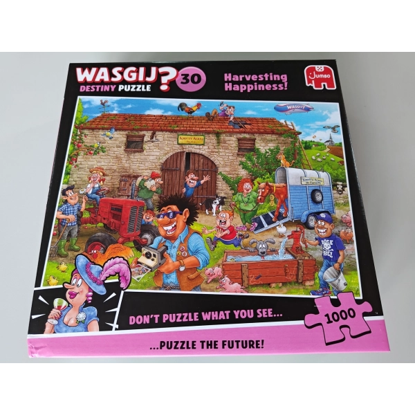 Wasgij Destiny 30 - 1000 Teile Puzzle (Leicht defekte Verpackung)