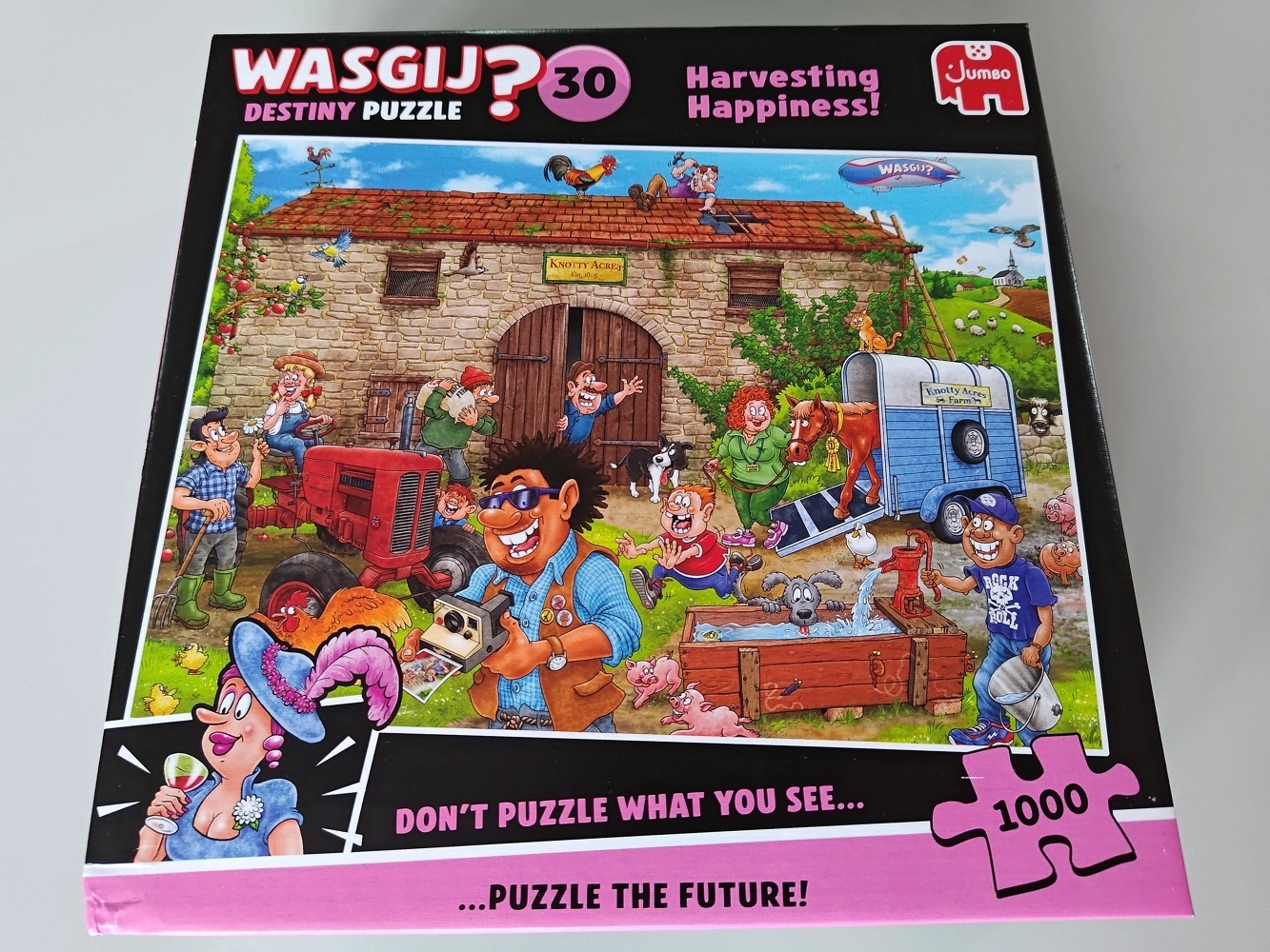 Wasgij Destiny 30 - 1000 Teile Puzzle (Leicht defekte Verpackung)