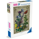 Der Lebenskreis der Schmetterlinge