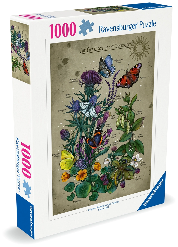 Der Lebenskreis der Schmetterlinge