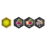 Snails - Fire in the Shell - Exapnsion - EN