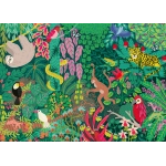 Magical Rain Forrest