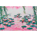 Pink Water Lilies