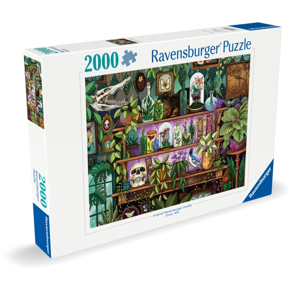 Die Lieblingsdinge einer Hexe Die Lieblingsdinge einer Hexe