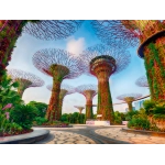 Garden by the Bay in Singapur