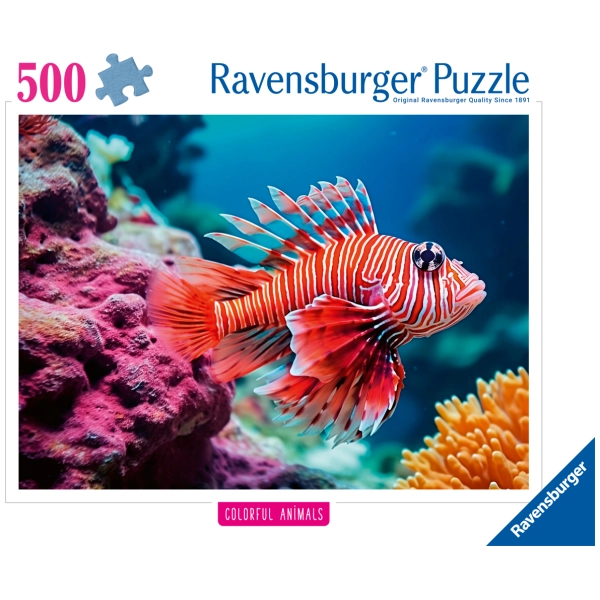 Pazifischer Rotfeuerfisch