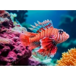 Pazifischer Rotfeuerfisch