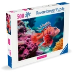 Pazifischer Rotfeuerfisch