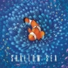 Shallow Sea - EN