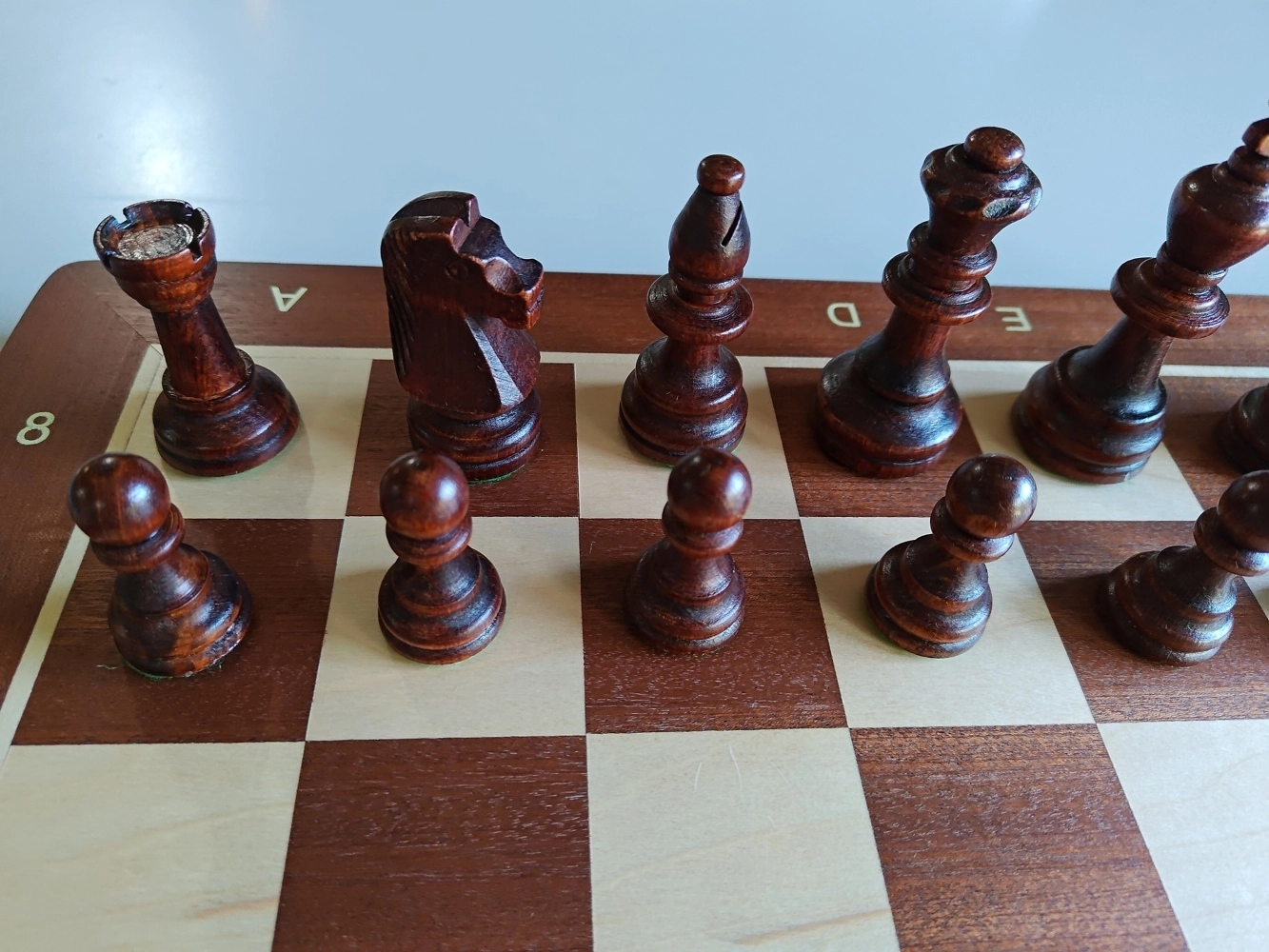 Schachkassette BHB Nr. 5 - 47.5cm (B-Qualität)