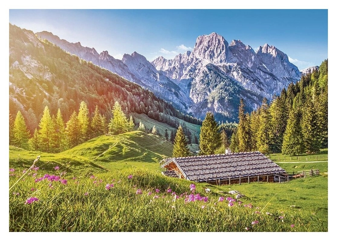 Summer in the Alps