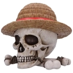 One Piece Aufbewahrungsbox Luffy Jolly Roger