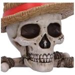 One Piece Aufbewahrungsbox Luffy Jolly Roger
