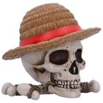 One Piece Aufbewahrungsbox Luffy Jolly Roger