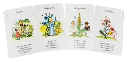 Quartett Heilkräuter